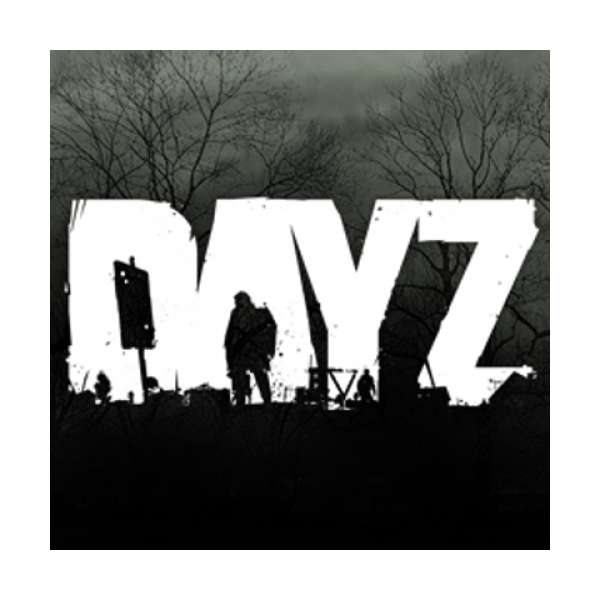  DayZ