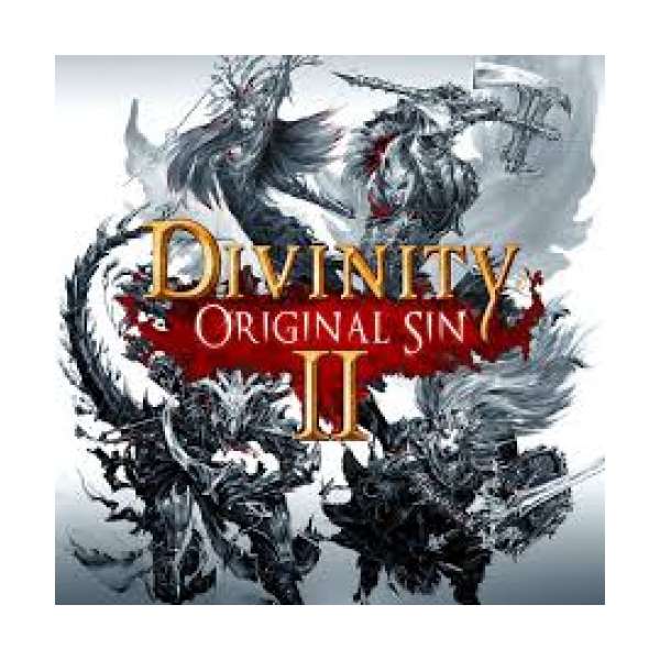  Divinity: Original Sin 2