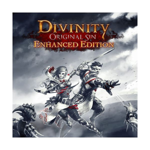  Divinity: Original Sin Enhanced Edition