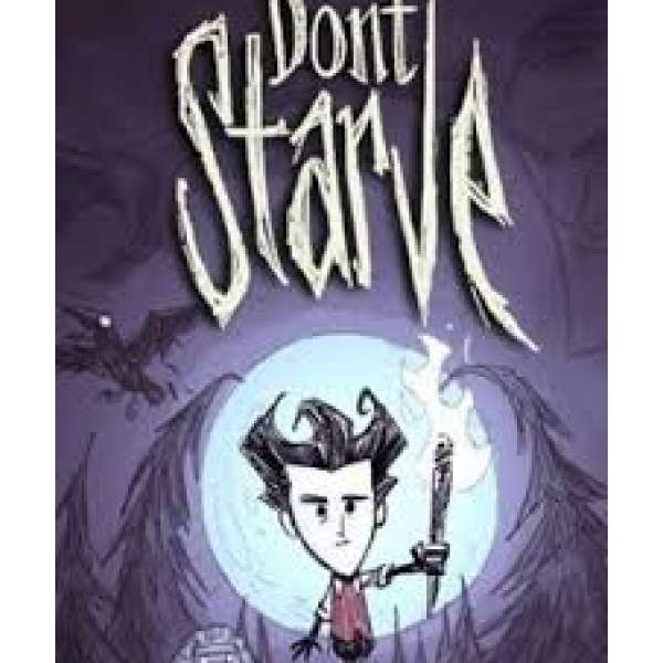  Don't Starve