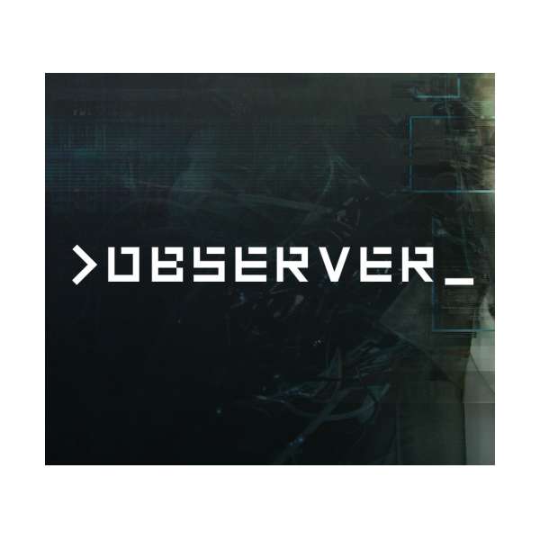  Observer
