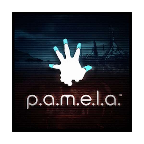  P.A.M.E.L.A.