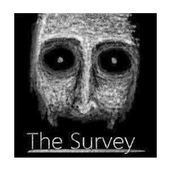  The Survey