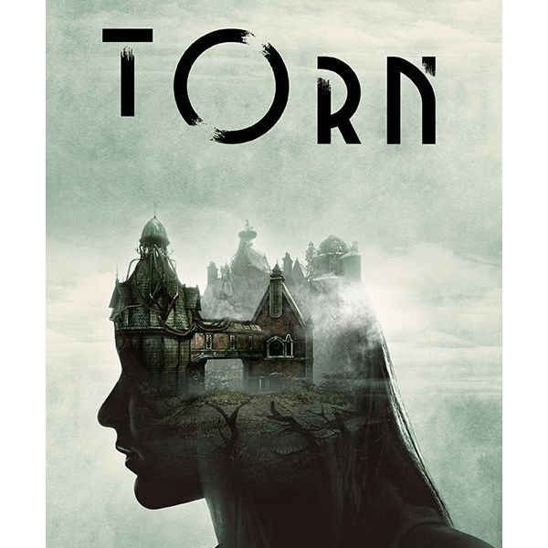  Torn