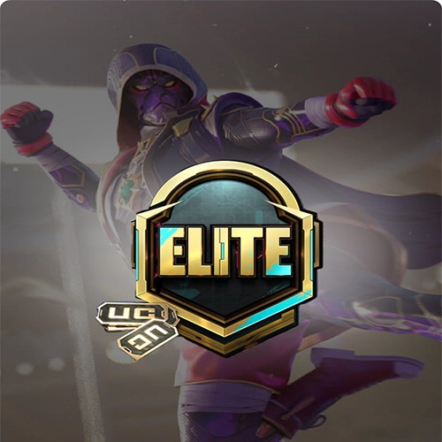  PUBG Mobile Elite Royale Pass