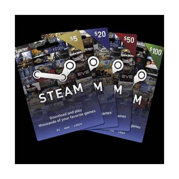  100 USD Steam Cüzdan Kodu