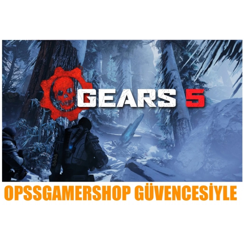  Gears 5 Online