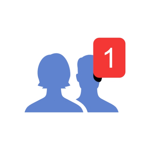 Instagram 1000  Karışık Takipçi