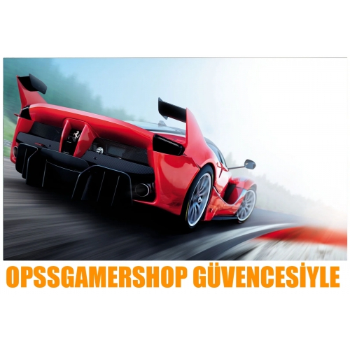  Assetto Corsa + Garanti