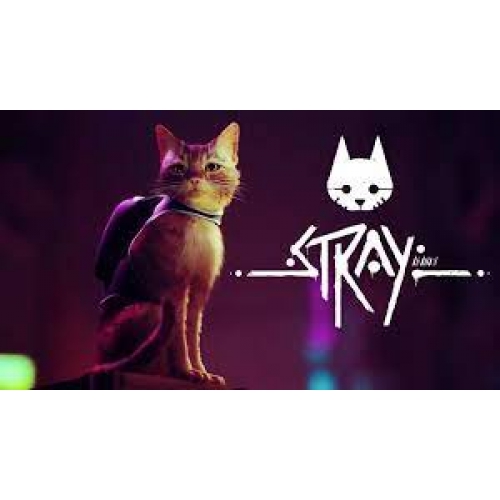  Stray + Garanti