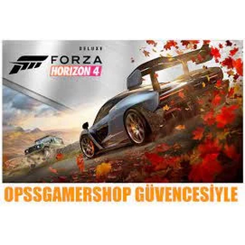  Forza Horizon 4 Online + Garanti