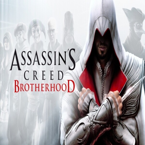  Assassins Creed Brotherhood + Garanti