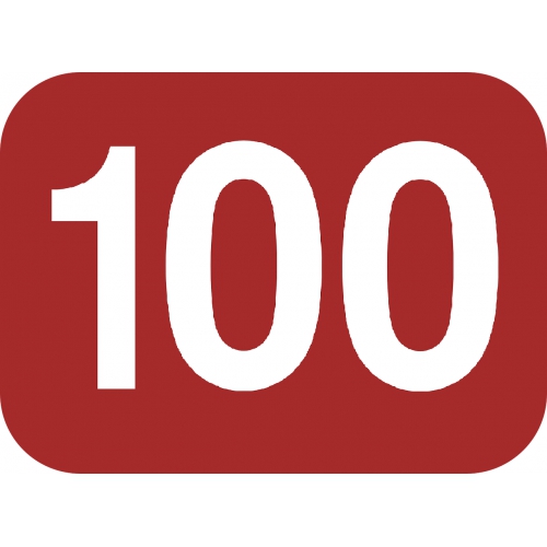  EZEL RPG -  100 BAKİYE