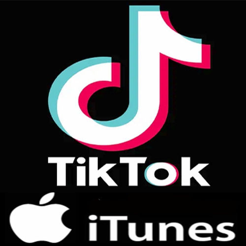  Tiktok Jeton 500 TL Apple Store