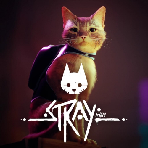  Stray