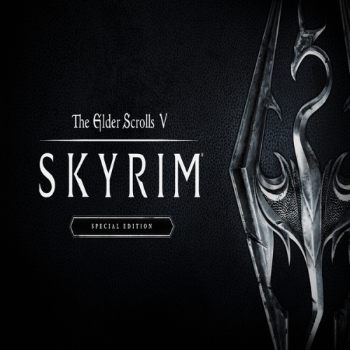  The Elder Scrolls V Skyrim Special Edition