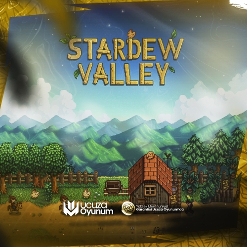  Stardew Valley