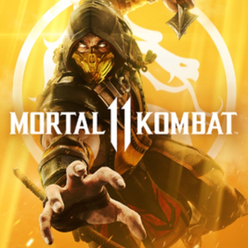  Mortal Kombat 11 Steam Key