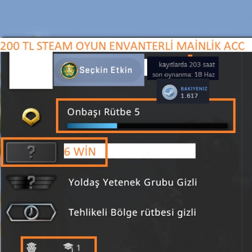 2 MADALYALI 10 LV 79 LV STEAM 12000 TL STEAM OYUN ENVANTERLİ 160+130 TL CS  GO ENVANTER VE STEAM CARD MAİNLİK HESAP ACC Satın Al, En Ucuz indirimli  Fiyat