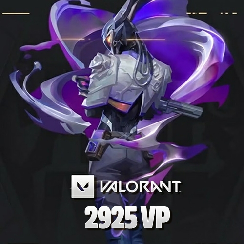  2925 Valorant VP