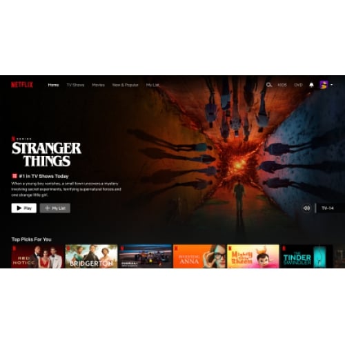  netfilix 3 gunluk 4k HDR hesap premimyum