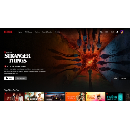  netfilix 2 haftalık 4k HDR hesap premimyum