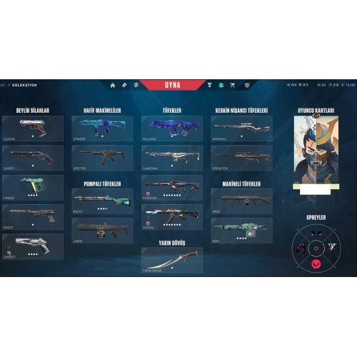  24 SKİNS 1 KNİFE 209 LV LOL 92 COSTUM TR HESABI MAİLLİ MAİNLİK HESAP