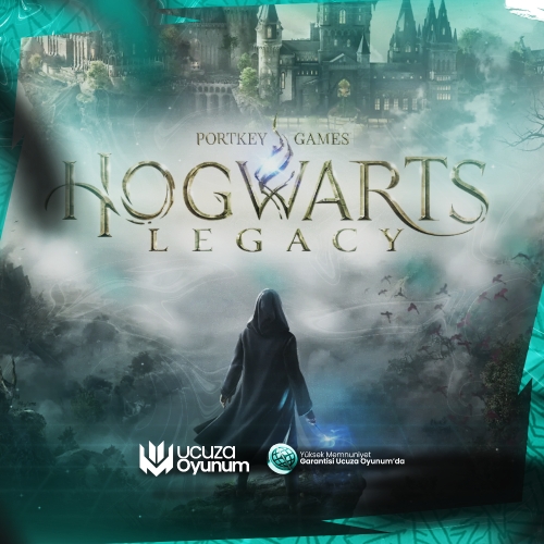  Hogwarts Legacy