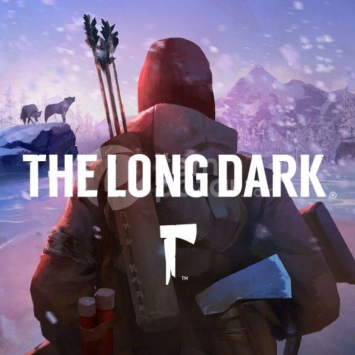  The Long Dark Steam Hesap