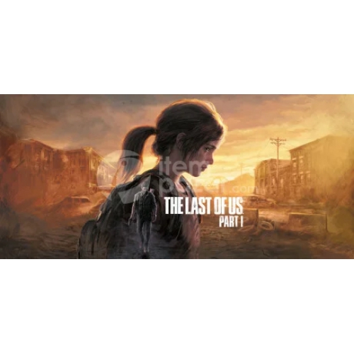  The Last of Us Steam Hesap