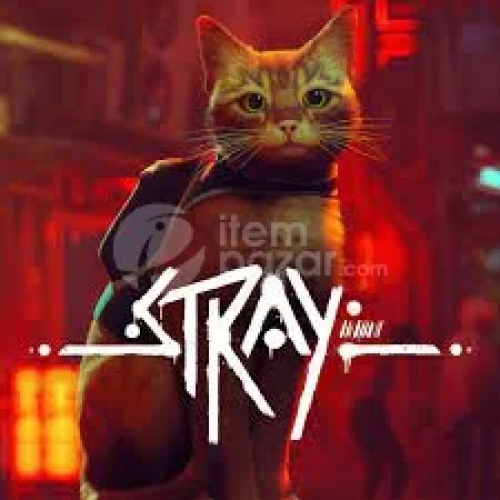  Stray Steam Hesap