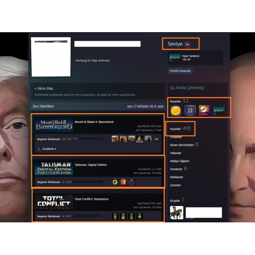  148.500 TL STEAM OYUN ENVANTERLİ 524 ADET OYUNLU ÖZEL NADİR HESAP MAİLLİ MAİNLİK HESAP STEAM LV 16 5 MADALYALI 