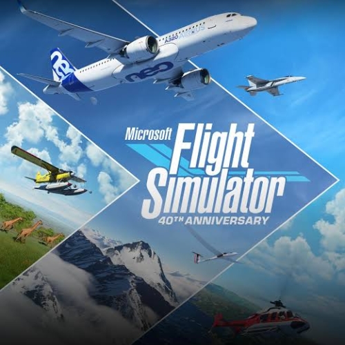  FLİGHT SİMULATOR PC