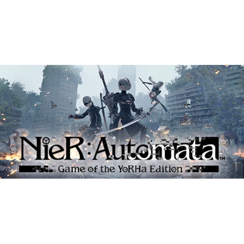  NieR Steam Hesap