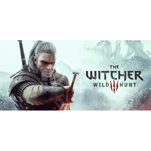  The Witcher 3 Steam Hesap