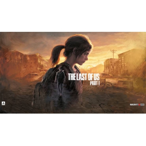  THE LAST OF US 1 PC