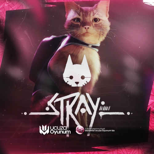  Stray