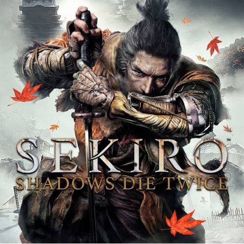  SEKİRO SHADOWS DİE TWİCE PC