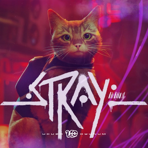  Hızlı Teslim - Stray
