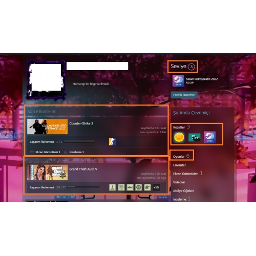  300 TL Team Fortress 2 ENVANTERLİ GTA V 1600 TL STEAM OYUN ENVANTERLİ STEAM LV 3 5 MADALYALI 6 LV