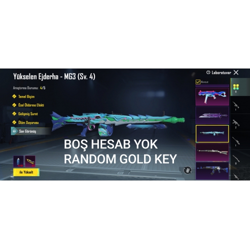  PUBG GOLD KEY