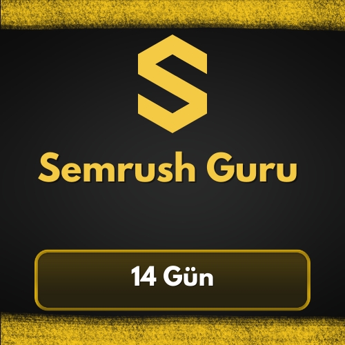  Semrush Guru Hesap - SEO Analizi