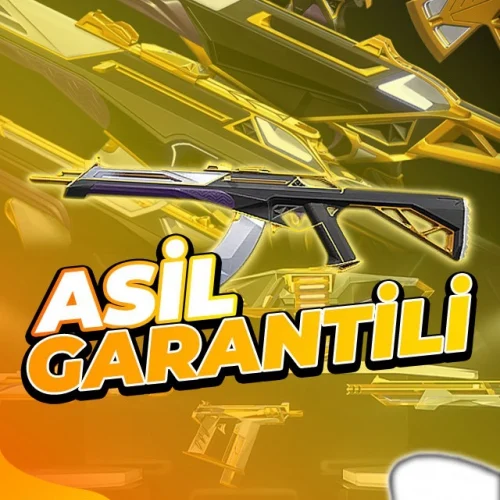  Valorant Asil Vandal Garantili Random Bölge Hesap