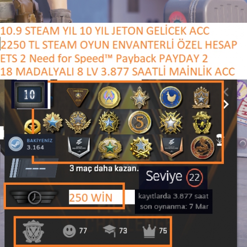  18 MADALYALI 8 LV 150 TL CS GO ENVANTERLİ NFS PAYBACK ETS 2 2250 TL STEAM OYUN ENVANTERLİ STEAM LV 22