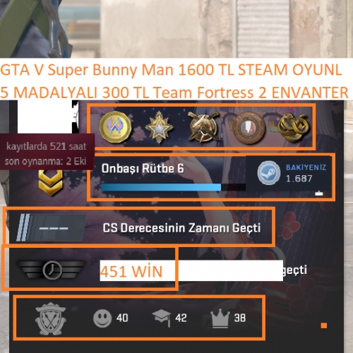  5 MADALYALI 6 LV 300 TL Team Fortress 2 ENVANTERLİ GTA V 1600 TL STEAM OYUN ENVANTERLİ STEAM LV 3