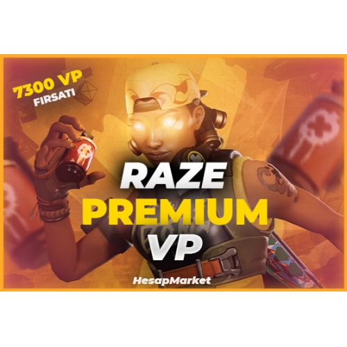  VALORANT PREMIUM RANDOM VP