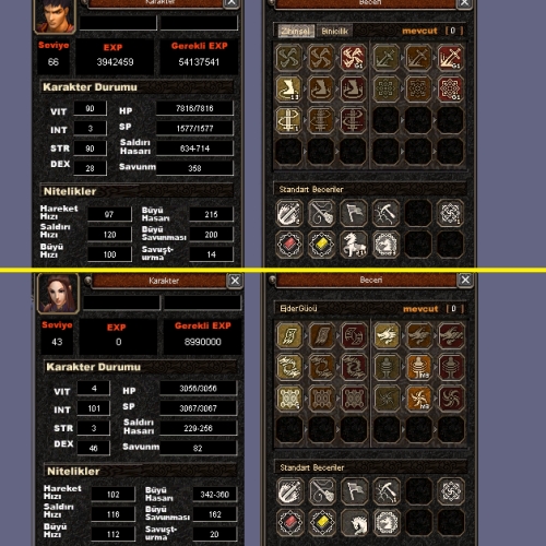  66 LEVEL 3G ZİHİNSEL + ŞAMAN