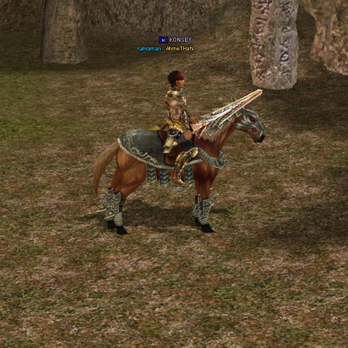  65 LVL HAVA G YANINDA 40 LVL KUTSAMA G Şamanı ile birlikte Fuul itemli