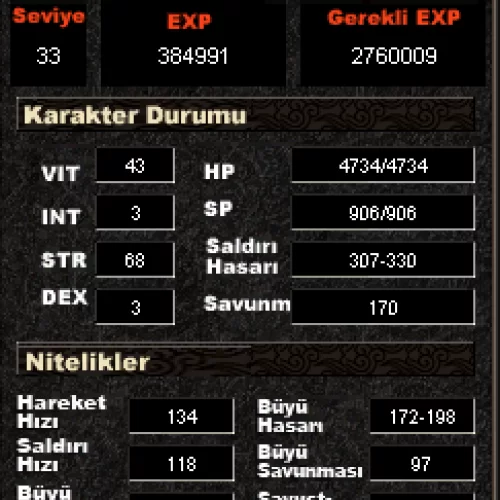  34 LEVEL BEDENSEL İTEMLİ P6 SERİİİİİ