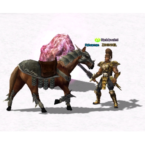  68 LEVEL  ZIHINSEL  3G FULL WSLİK ASKER AT SIRALAMADA 7.